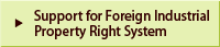 Support for Foreign Industrial Property Right System