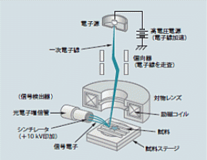 図1:走査電子顕微鏡の構成の概略
