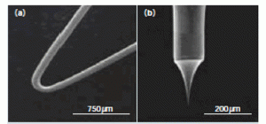 図2:熱電子型電子源と電界放出型電子源