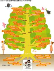 (図2) フェライトの多様な製品展開